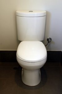 Toilet Won’t Flush