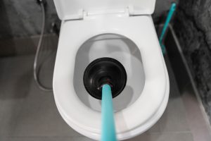 How to Unblock a Toilet Drain in 10 Easy Steps