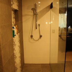 PlumberPiaraWaters_Shower1
