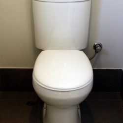 PlumberPiaraWaters_Toilet1